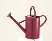 Metal watering Can - Burgundy Colour