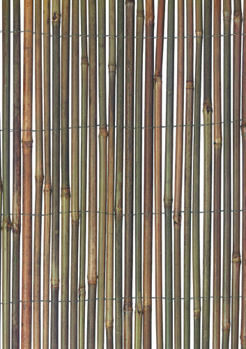 Bamboo Cane 4m x 1m