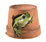 Frog Pot Garden Ornament