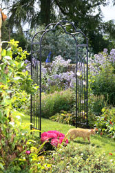 Heavy Duty Ornate Garden Arch 