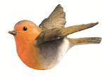 a robin flying