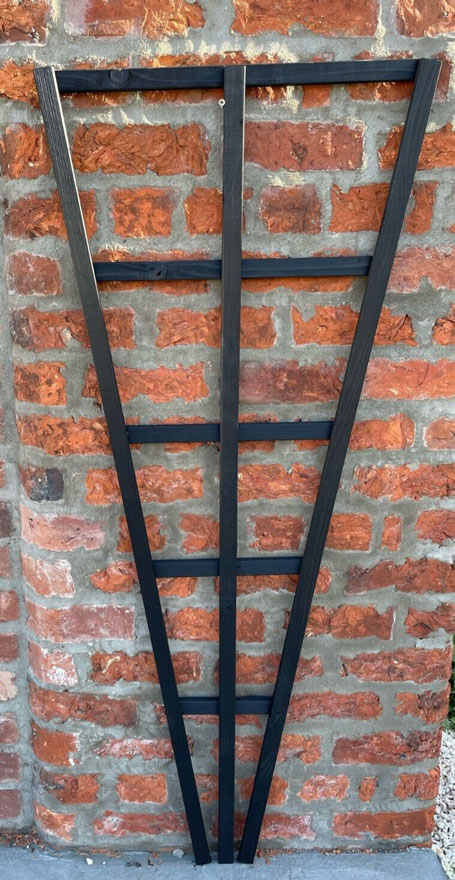 Wooden Plant Support Trellis Fan Black Ash 150cm