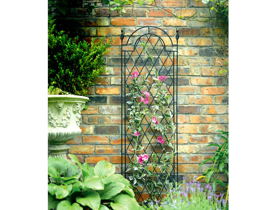 Garden Trellis image