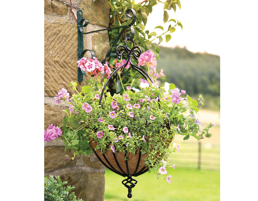 Hanging Baskets image