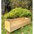 Garden Plant Pot Container Herb Wood Flower Planter Box - view 2