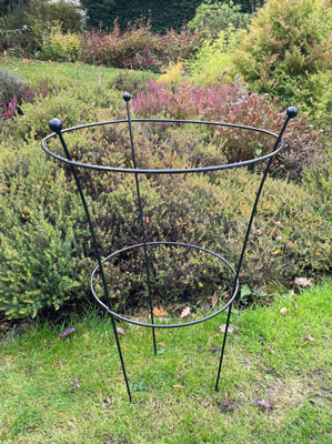 Plant Metal Peony Support Cage Large