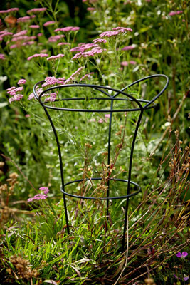 Peony Ring Plant Cage Support