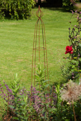 Rust Cottage Style Rusty Plant Support Obelisk