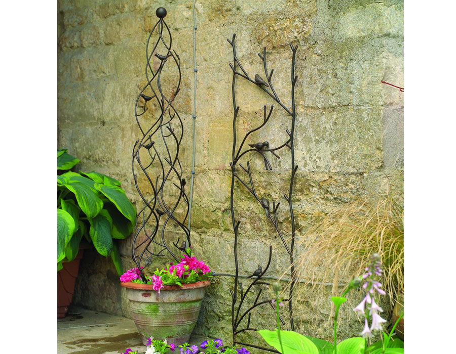 Trellis and Plant Supports image