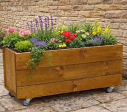 Wooden Rolling Planter Deep Box with Wheels 60cm